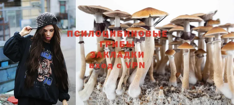 гидра вход  Фёдоровский  Галлюциногенные грибы Magic Shrooms 